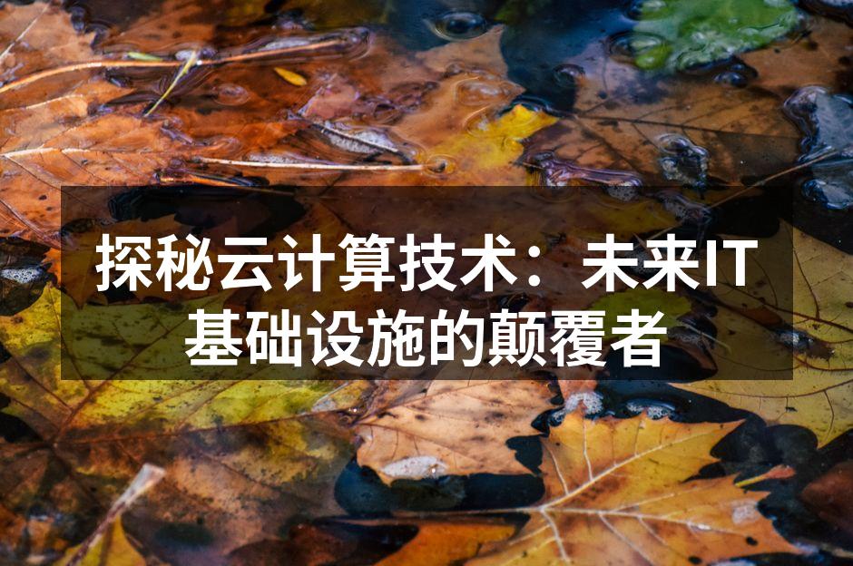 探秘云计算技术：未来IT基础设施的颠覆者